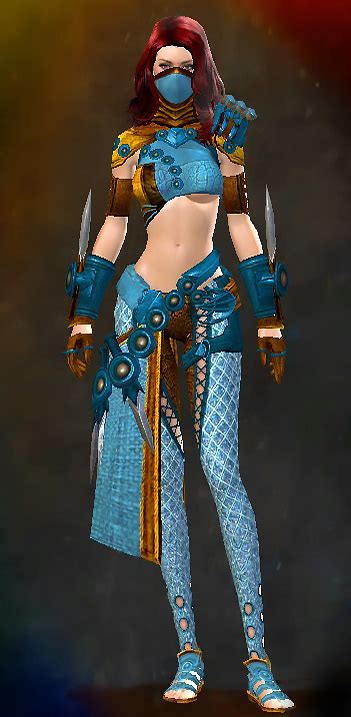 gw2 medium armor gallery.